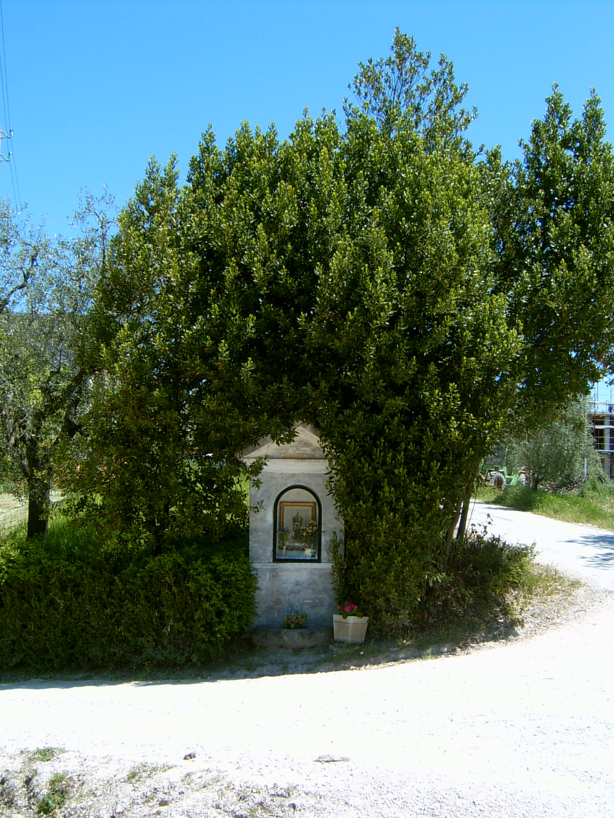 Edicola della Madonna del Pianto (edicola, votiva) - Torre San Patrizio (AP) 