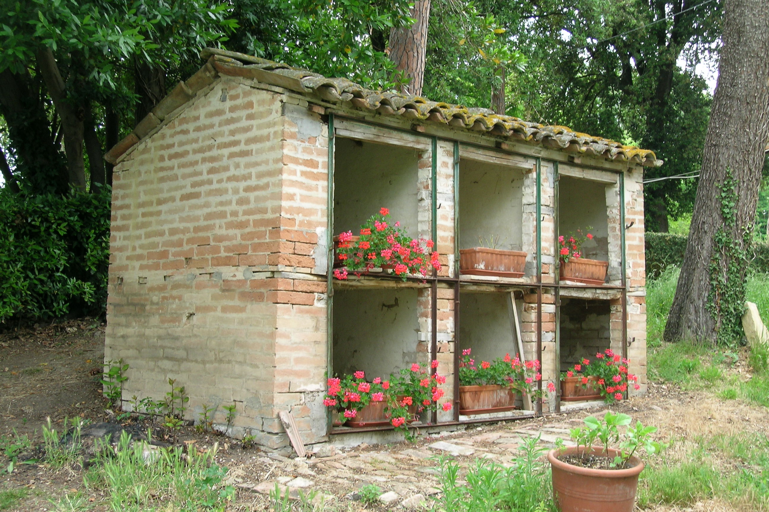 Limonaia di Villa Clementi (limonaia, edificio di servizio annesso alla residenza) - Falerone (AP) 