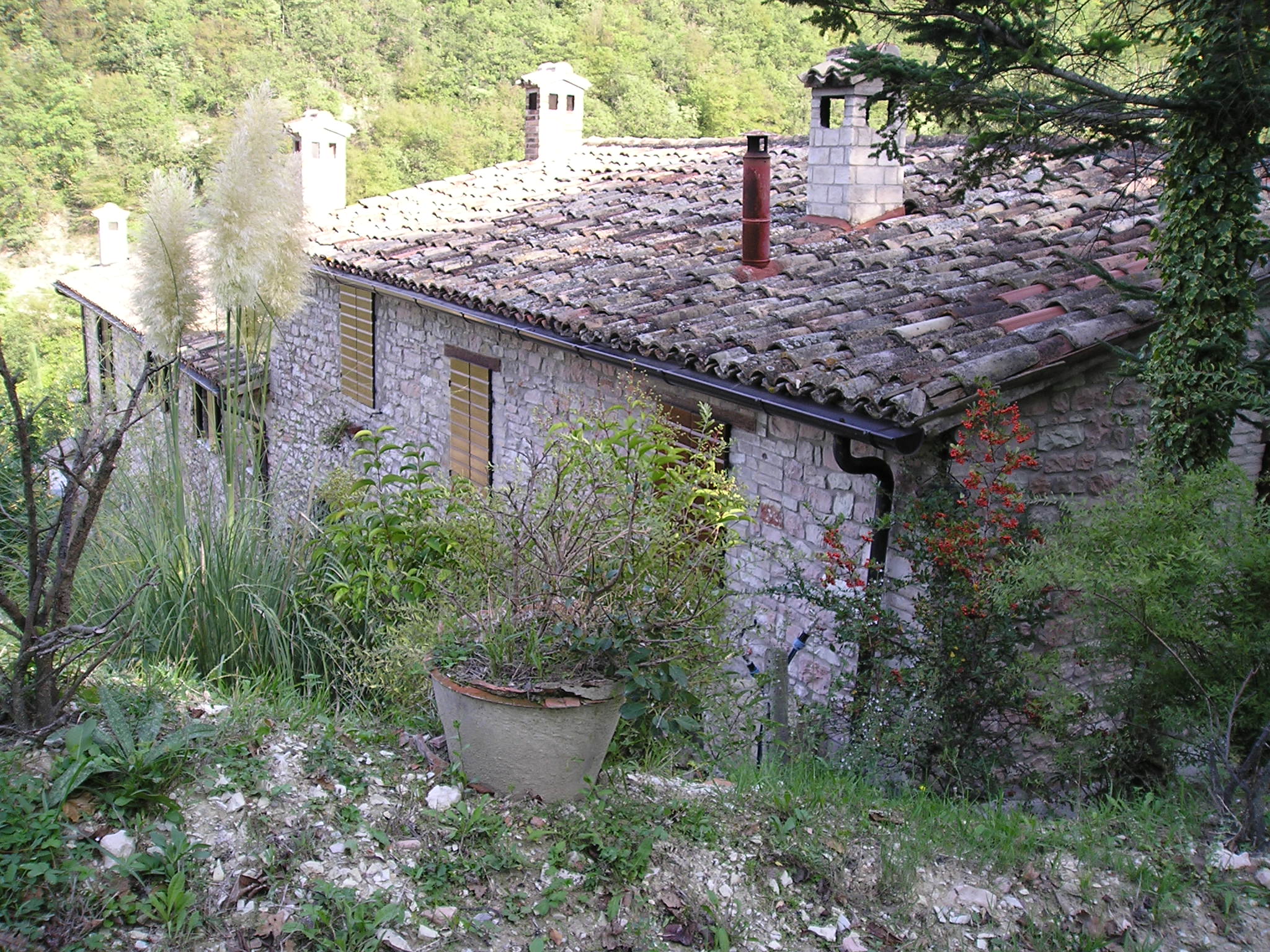 Molino Cà fosso Ligi (mulino ad acqua) - Urbino (PU) 