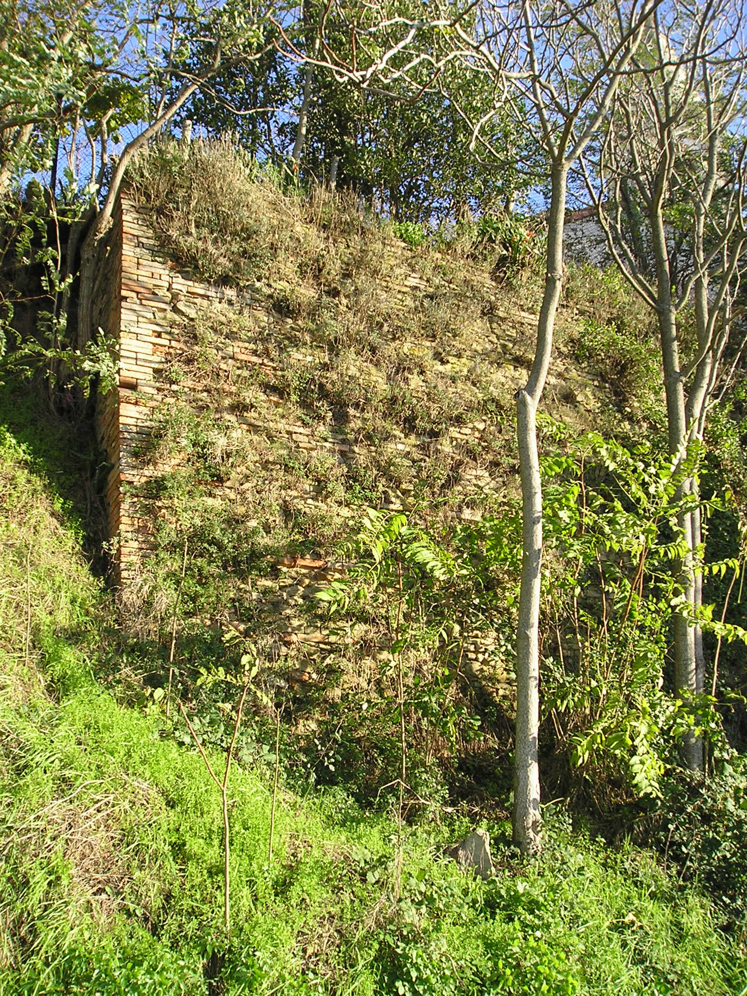 Mura castellane di Pieve di Cagna (mura, castellane) - Urbino (PU) 