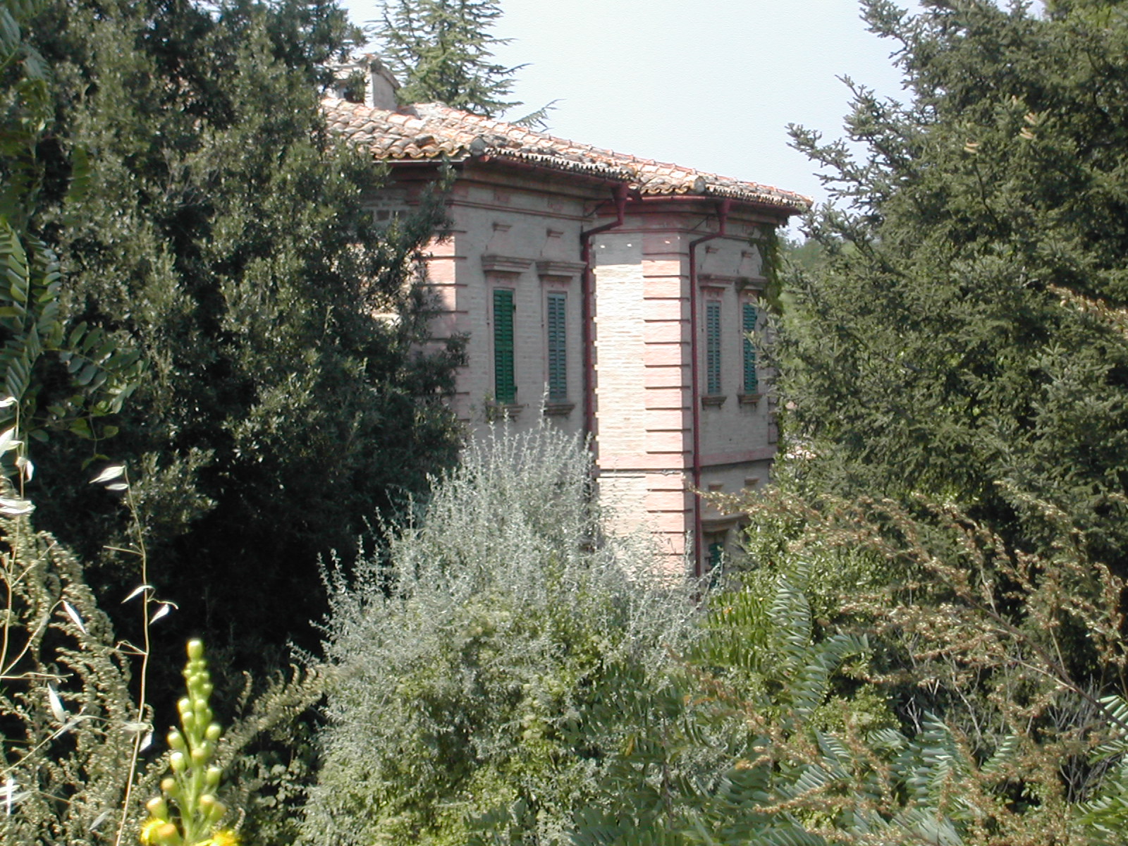 Villa Briefe (villa, signorile) - Mergo (AN) 