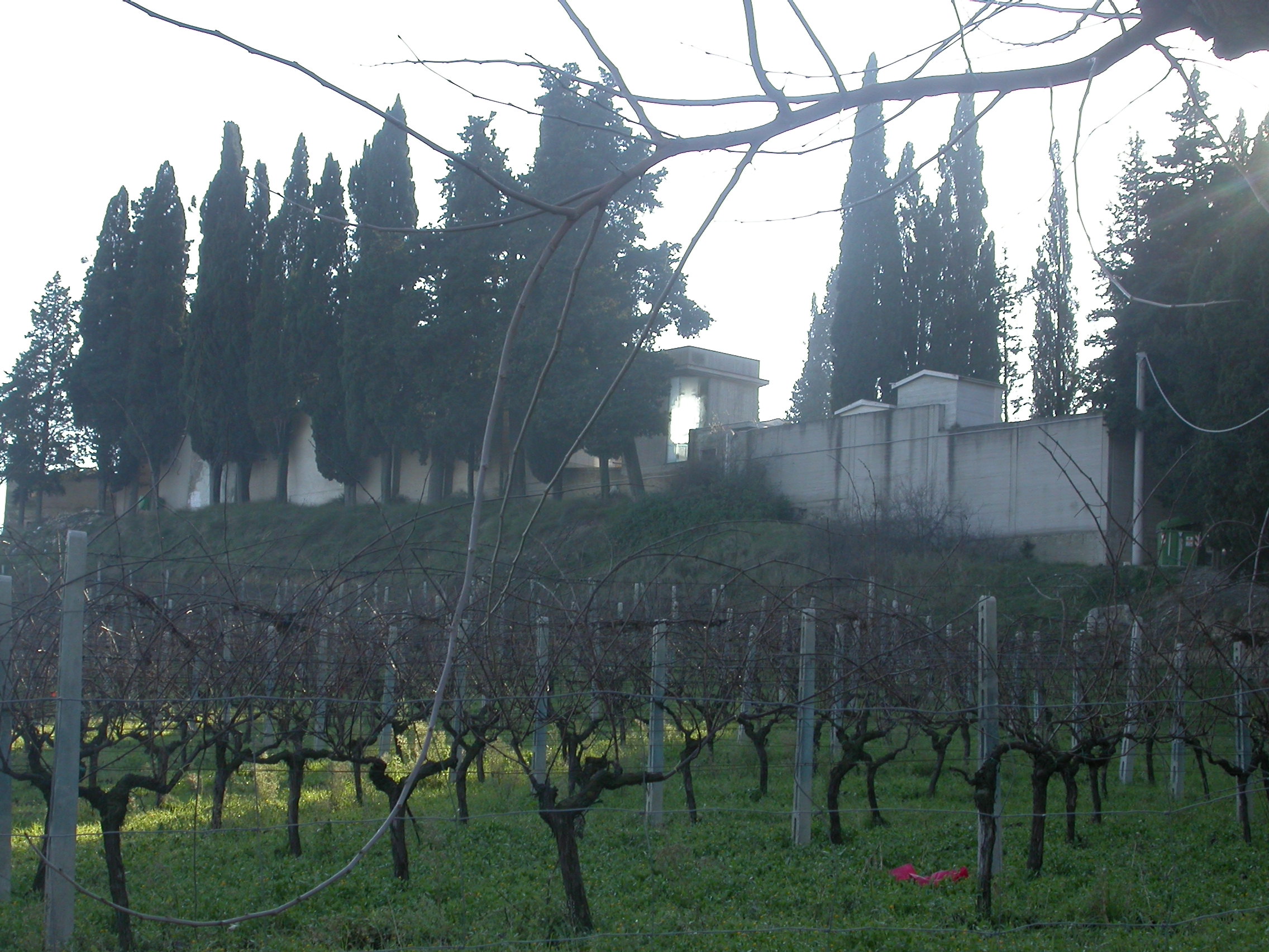 Cimitero di Spinetoli (cimitero, comunale) - Spinetoli (AP) 