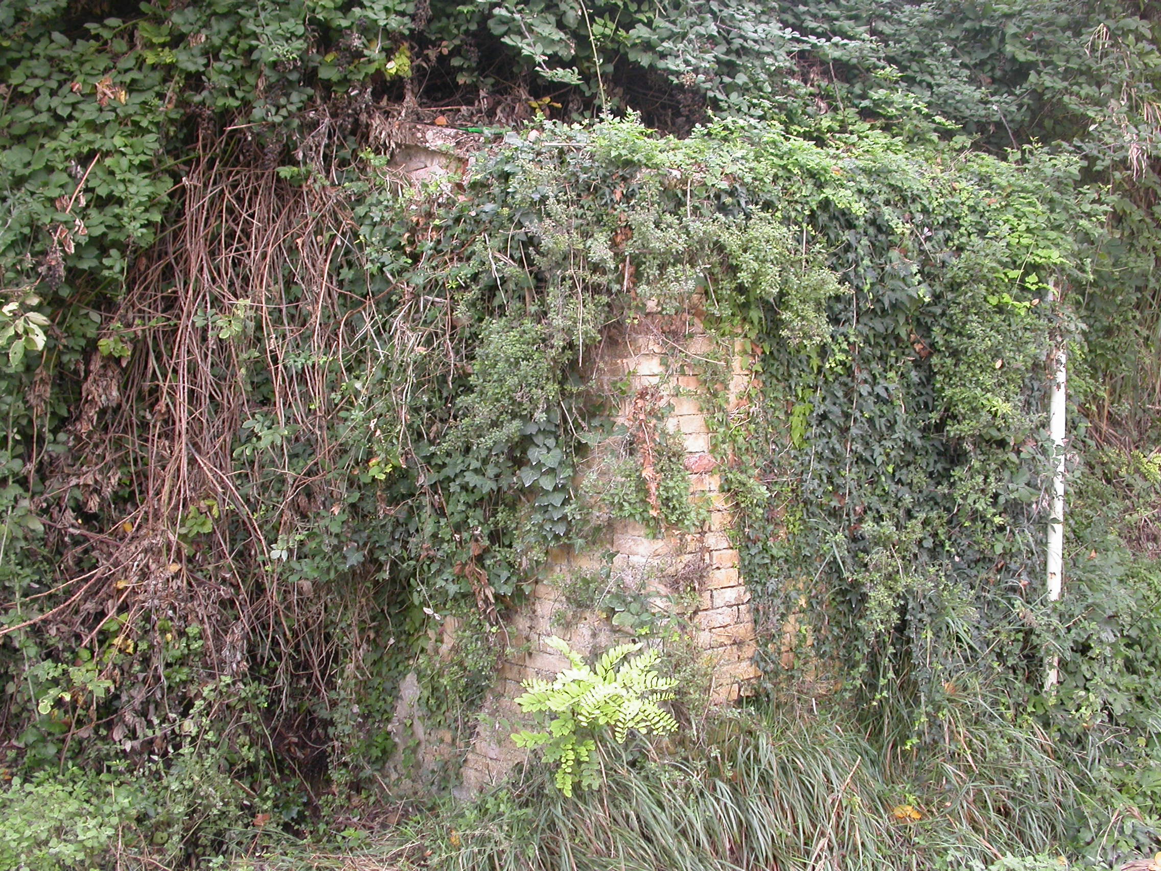 Fonte Vecchia (fonte, pubblica) - Massignano (AP) 