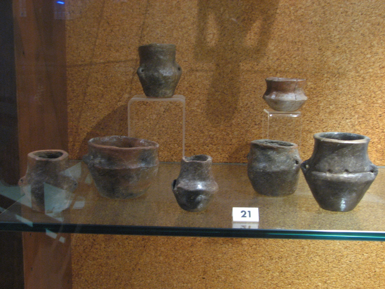 Materiale di collezione museale (ceramica, materiale lapideo, metallo, reperti malacologici, oggetti d'ornamento)