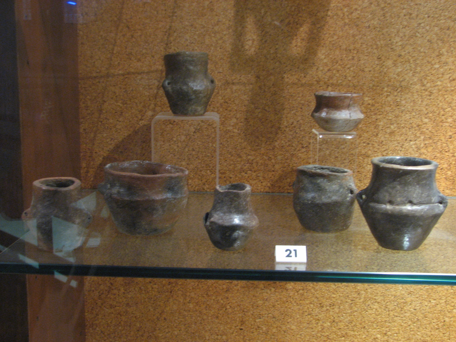 Materiale di collezione museale (ceramica, materiale lapideo, metallo, reperti malacologici, oggetti d'ornamento)