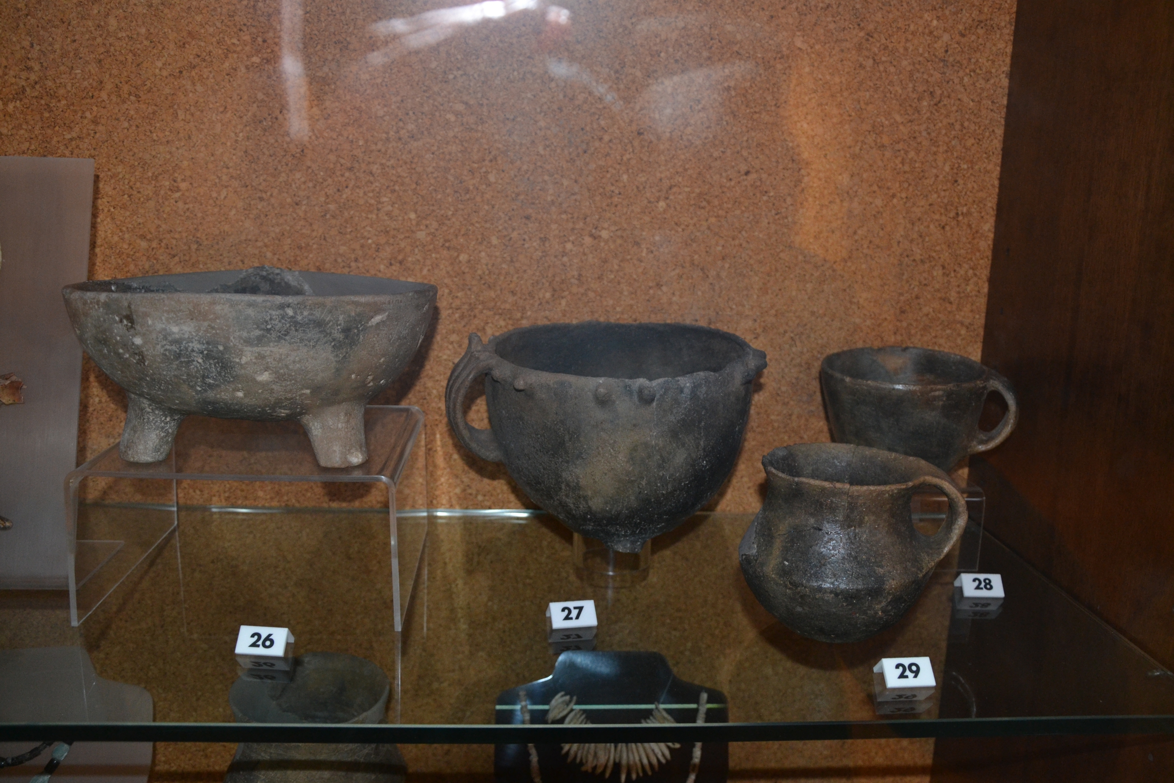 Materiale di collezione museale (ceramica/ materiale lapideo/ metallo/ osso/ reperti malacologici)