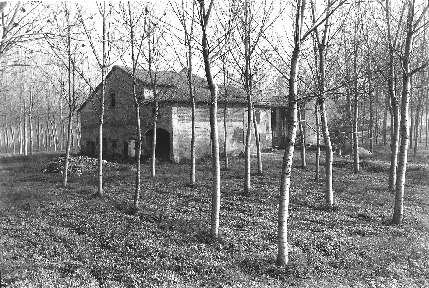 Casa Scaroni (casa, rurale) - Colorno (PR) 