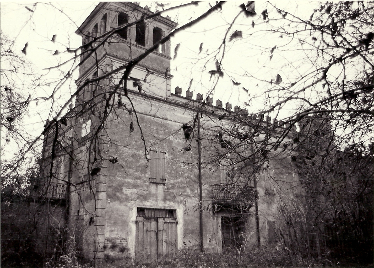 Villa Albertina (villa, abitazione) - Trecasali (PR) 