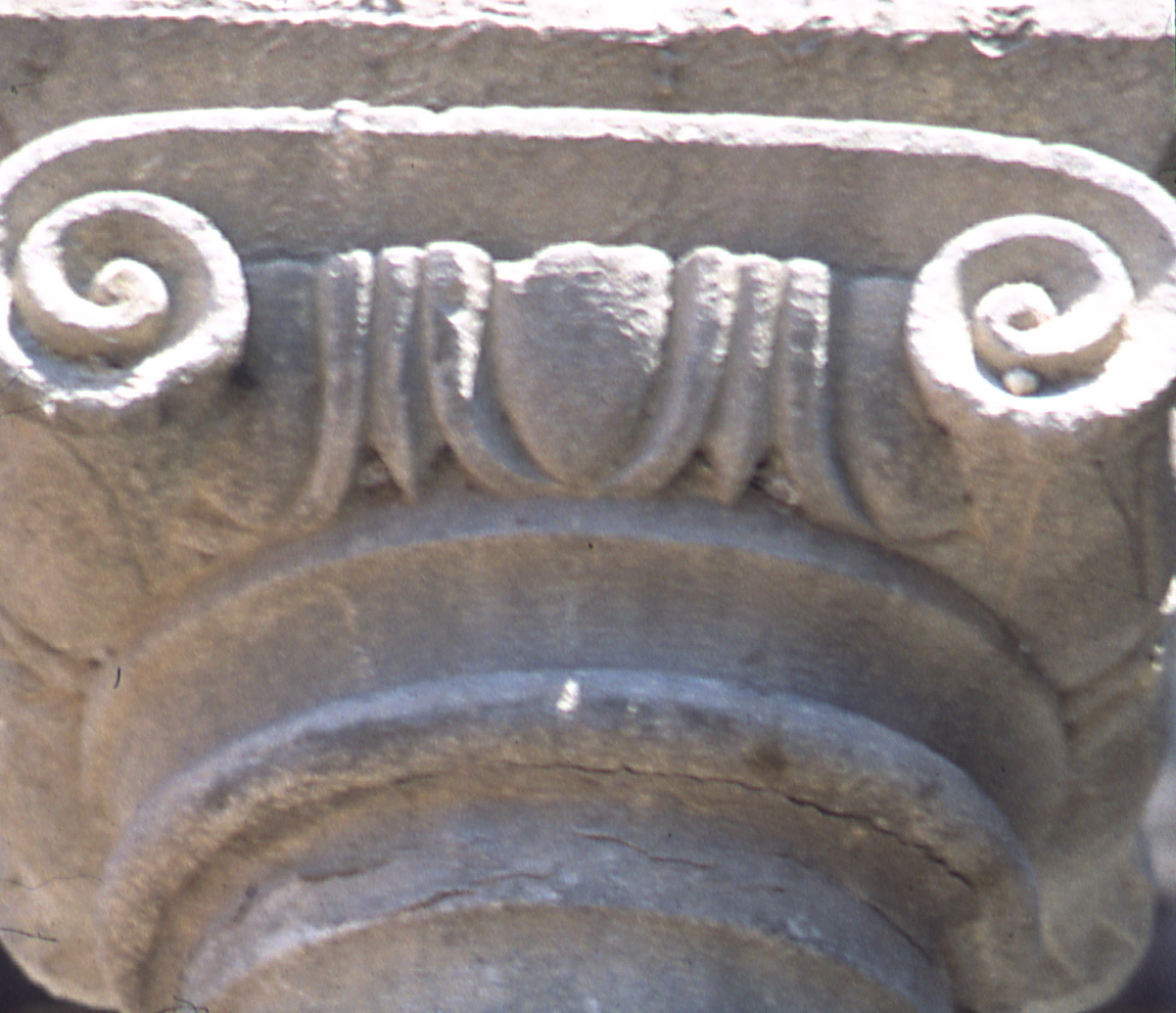 capitello ionico - bottega fiorentina (seconda meta' sec. XV)