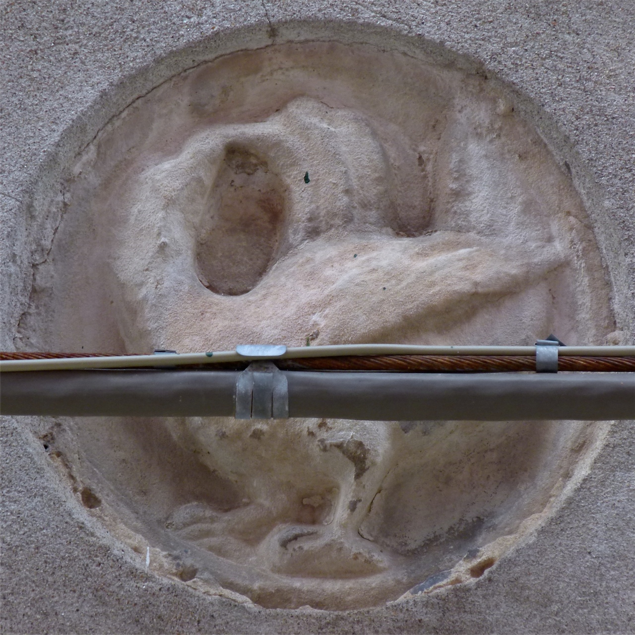 animale (formella, opera isolata) - produzione veneziana (secc. XII-XIII)