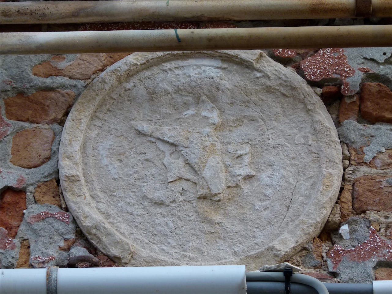 araldica (rilievo, opera isolata) - produzione veneziana (inizio sec. XVI)
