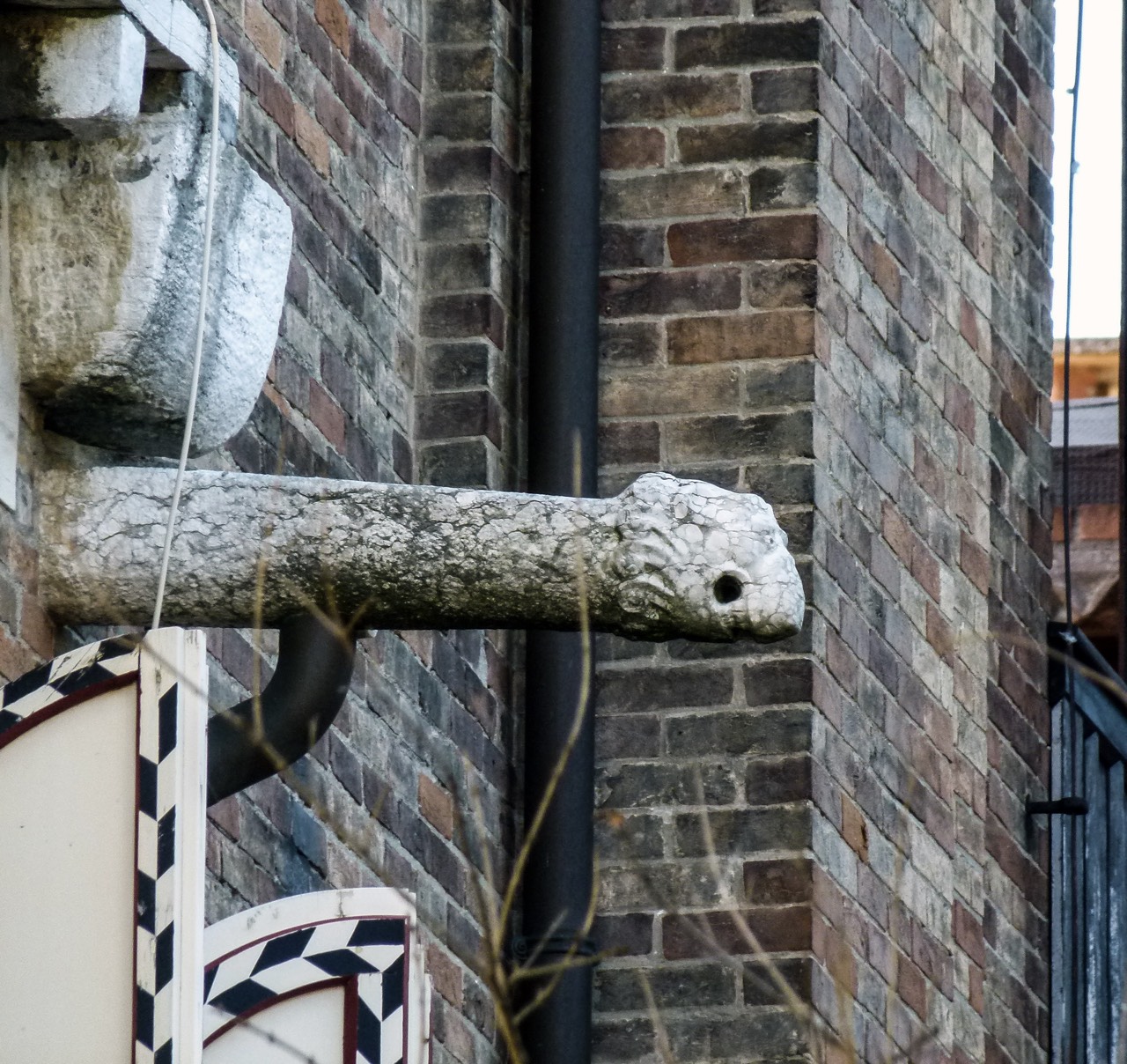 testa di leone (doccione, opera isolata) - ambito veneziano (secc. XIV-XV)