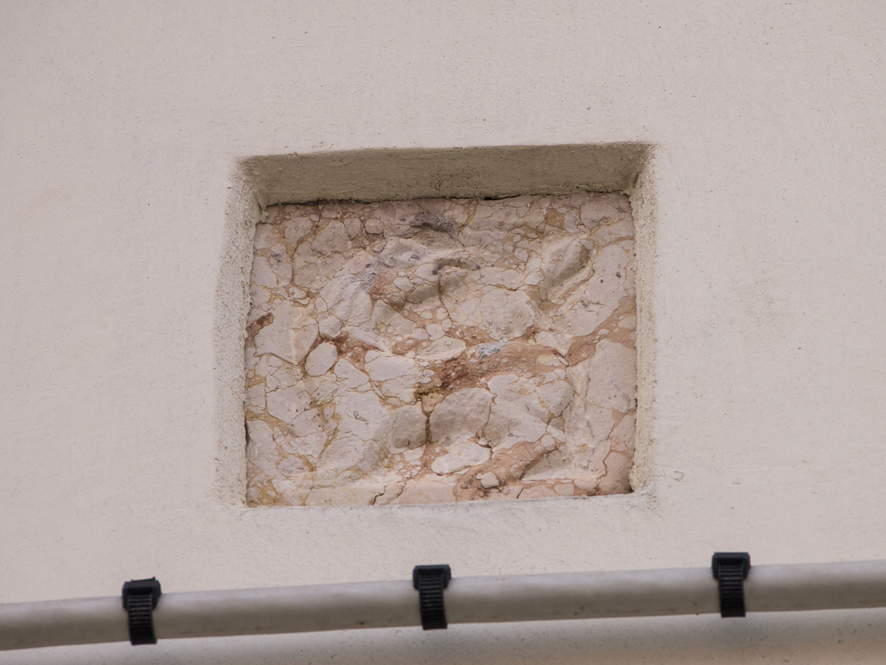 leone (rilievo, insieme) - ambito veneziano (sec. XX)