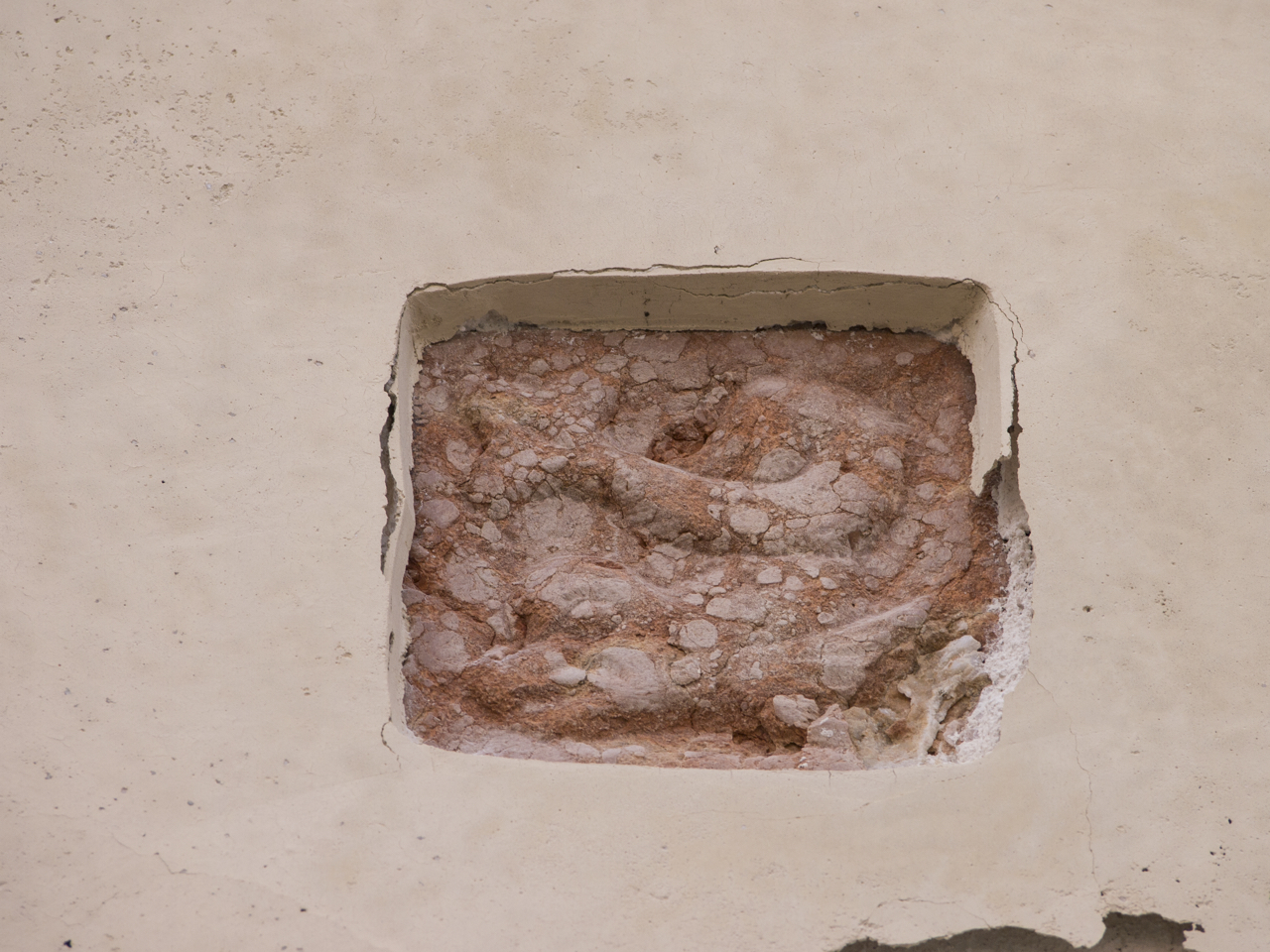 delfino (rilievo, insieme) - ambito veneziano (sec. XX)