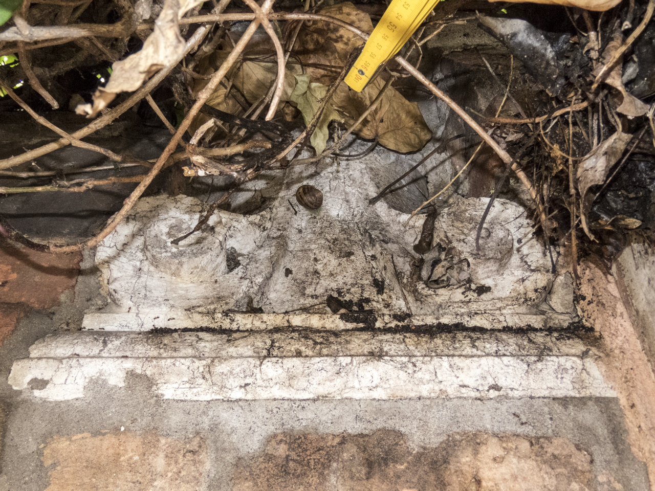 volute (capitello, opera isolata) - ambito veneziano (secc. XIV-XV, secc. XV-XVI)