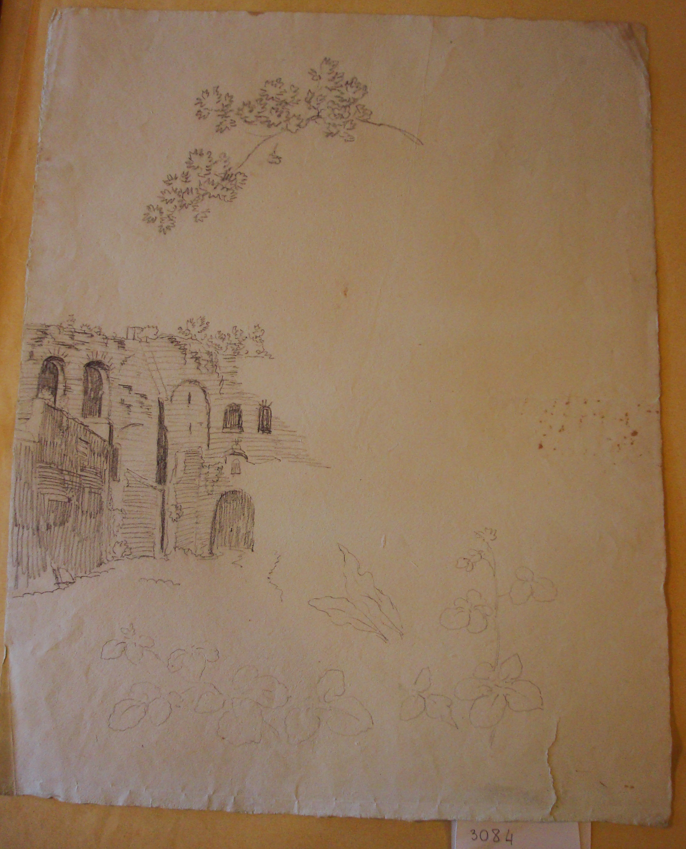 Veduta di rovine architettoniche; vegetazione (disegno) di Nava Ambrogio (attribuito) (sec. XIX)