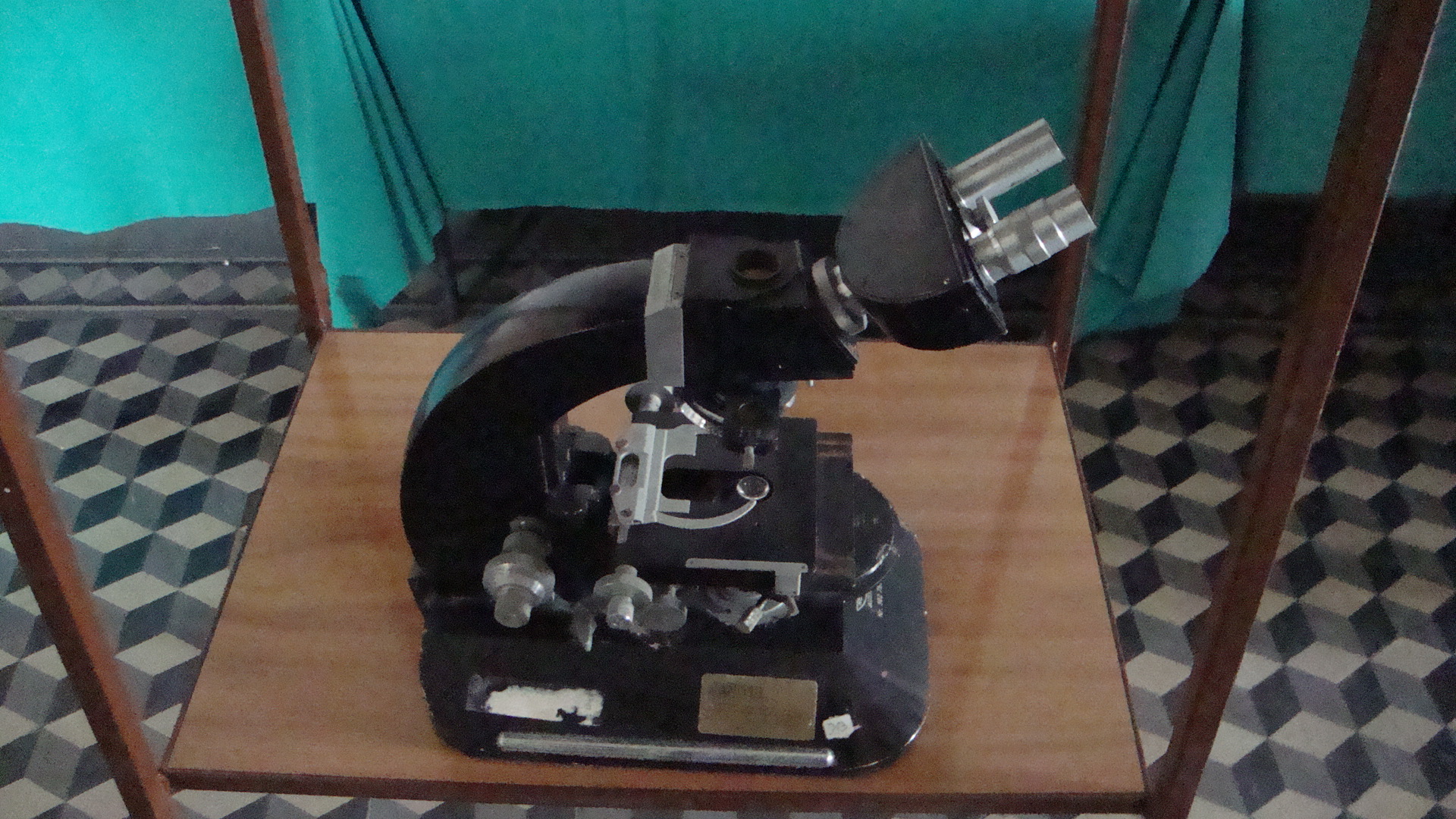 microscopio, binoculare - Reichert, Wien, Osterreich (seconda metà XX secolo)