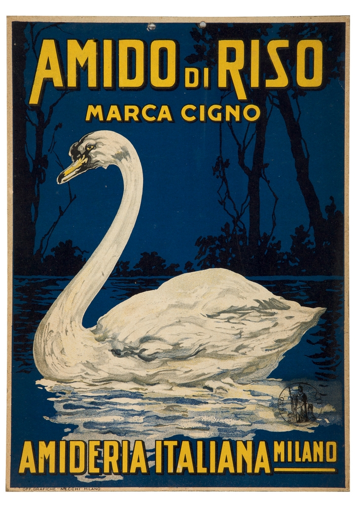 cigno in un laghetto (locandina) - ambito italiano (sec. XX)
