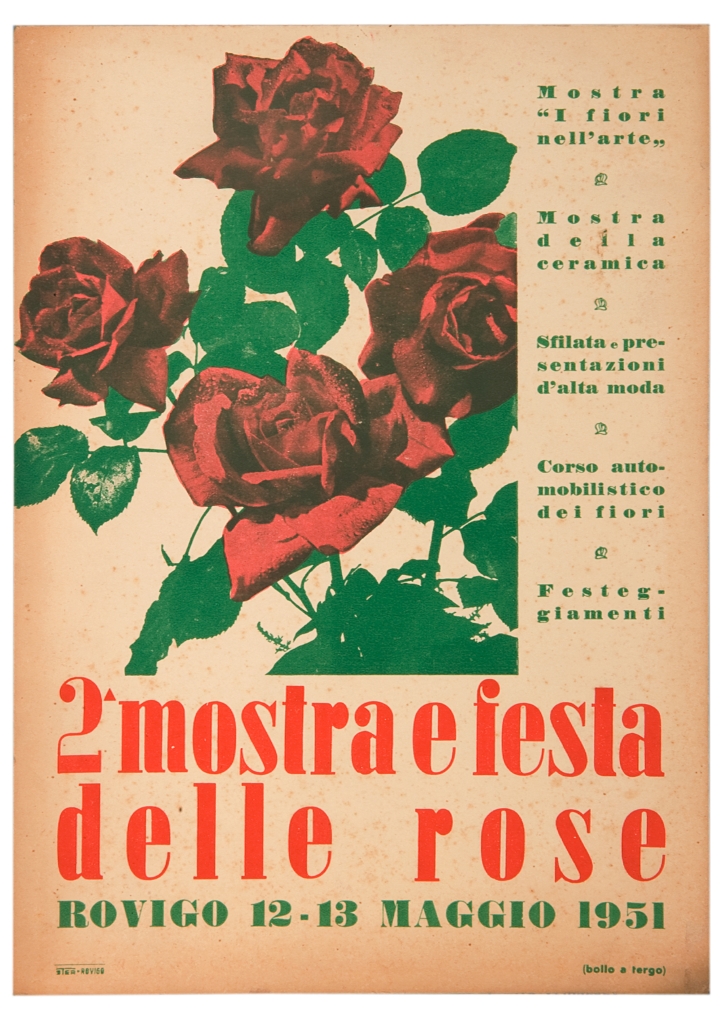 elaborazione grafica da una fotografia di rose rosse (locandina) - ambito rodigino (sec. XX)