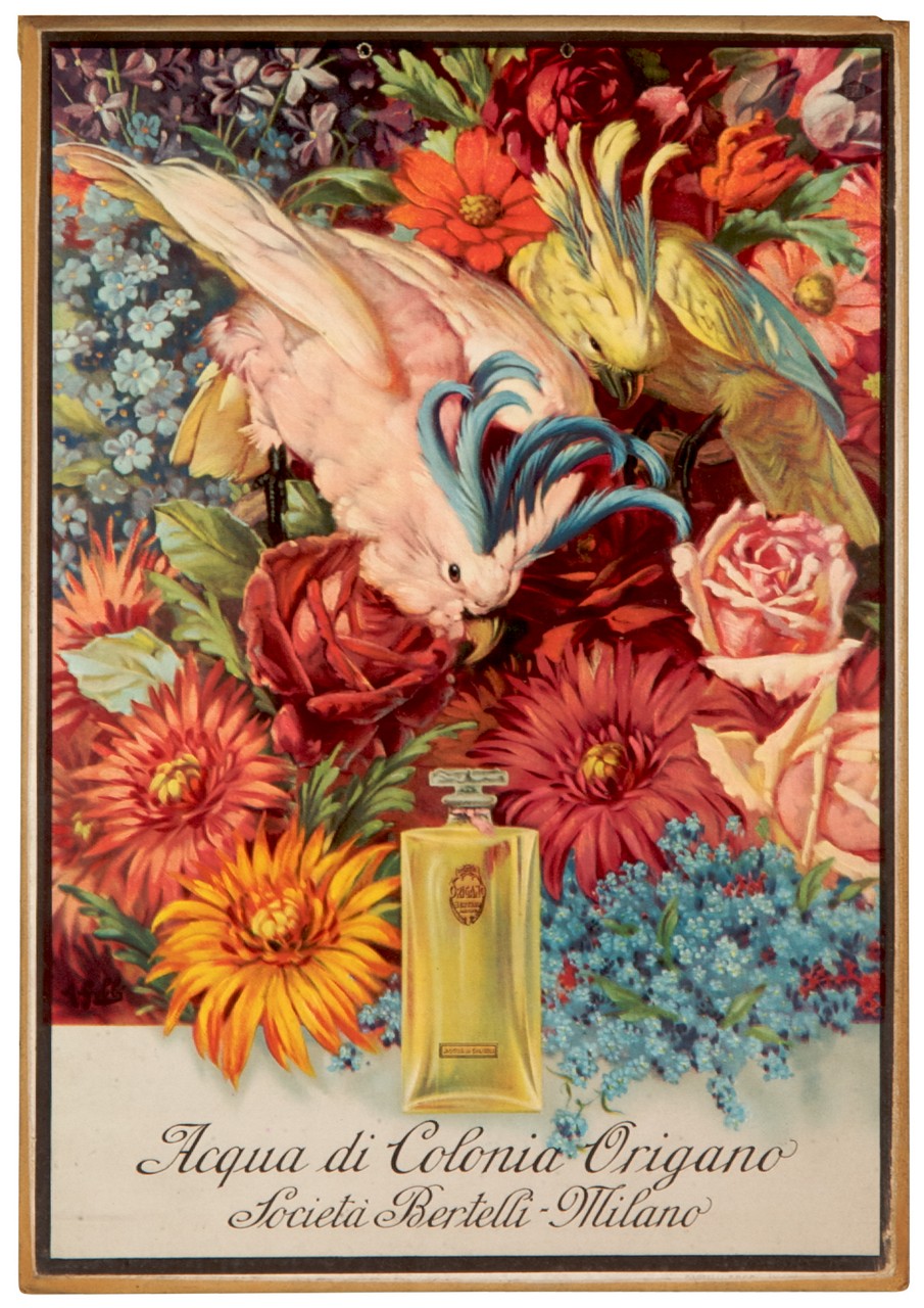 due pappagalli posati su un bouquet di fiori si protendono verso una bottiglia di acqua di colonia (locandina) di Gobbi Alpenore (sec. XX)