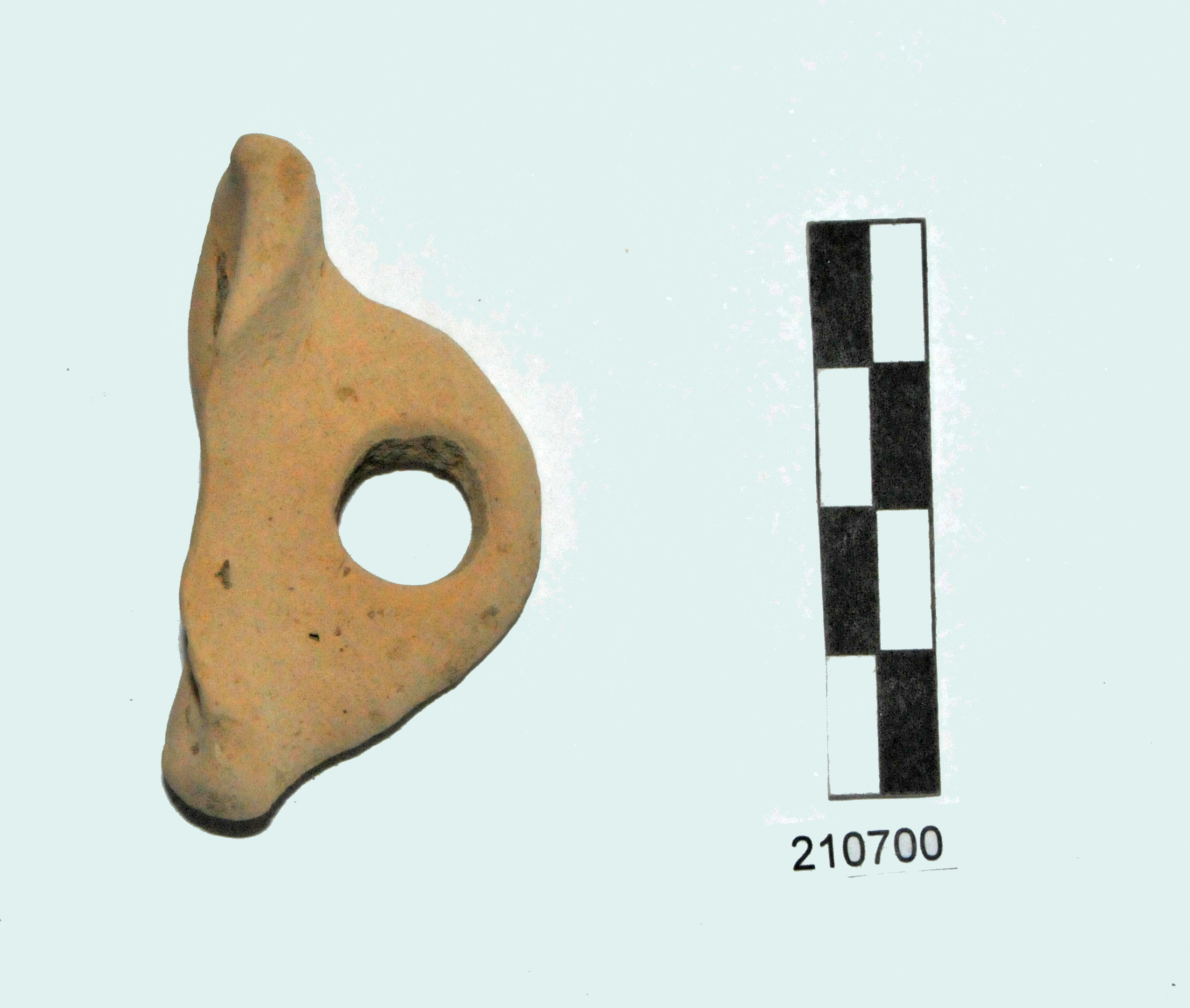 "a testa d'uccello" o vogelkompflampe (lucerna, lucerna/ansa trasversale. Dressell 22) (I d.C - II d.C)