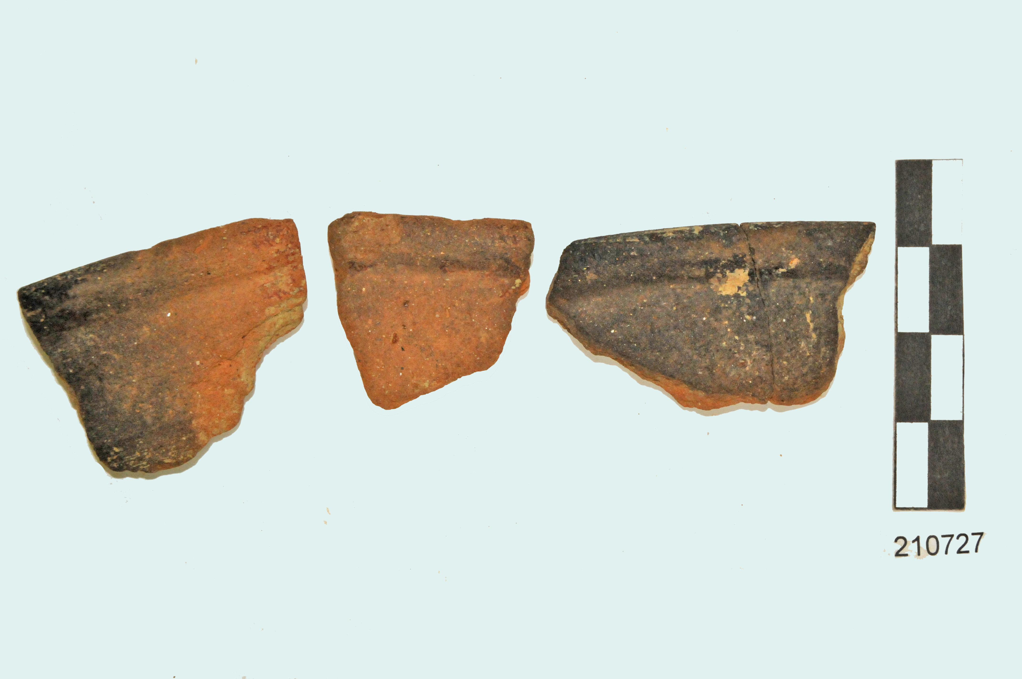 coperchio, argilla marrone scuro, duro, abbastanza depurato (I d.C - II d.C)