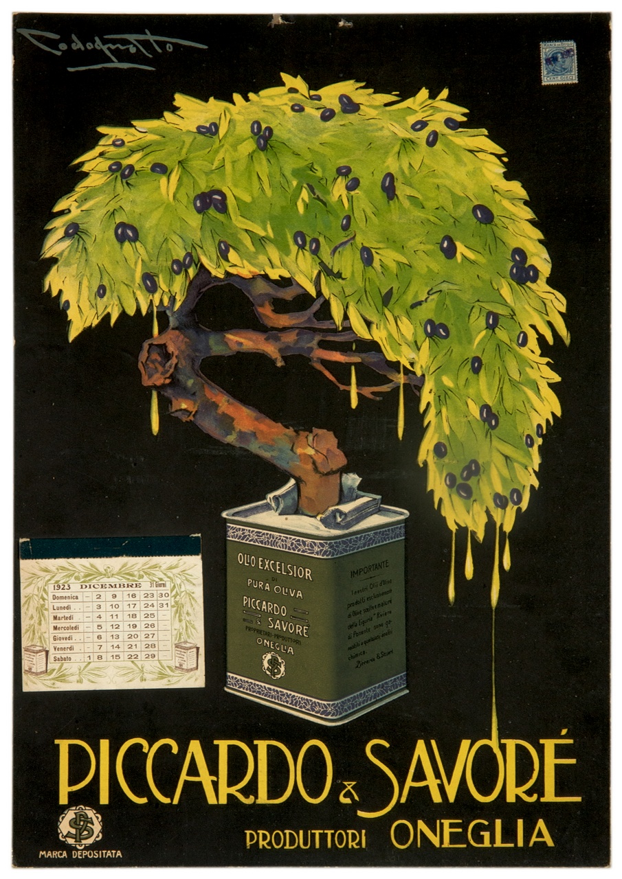albero di ulivo cresciuto in una latta (calendario) di Codognato Plinio (sec. XX)