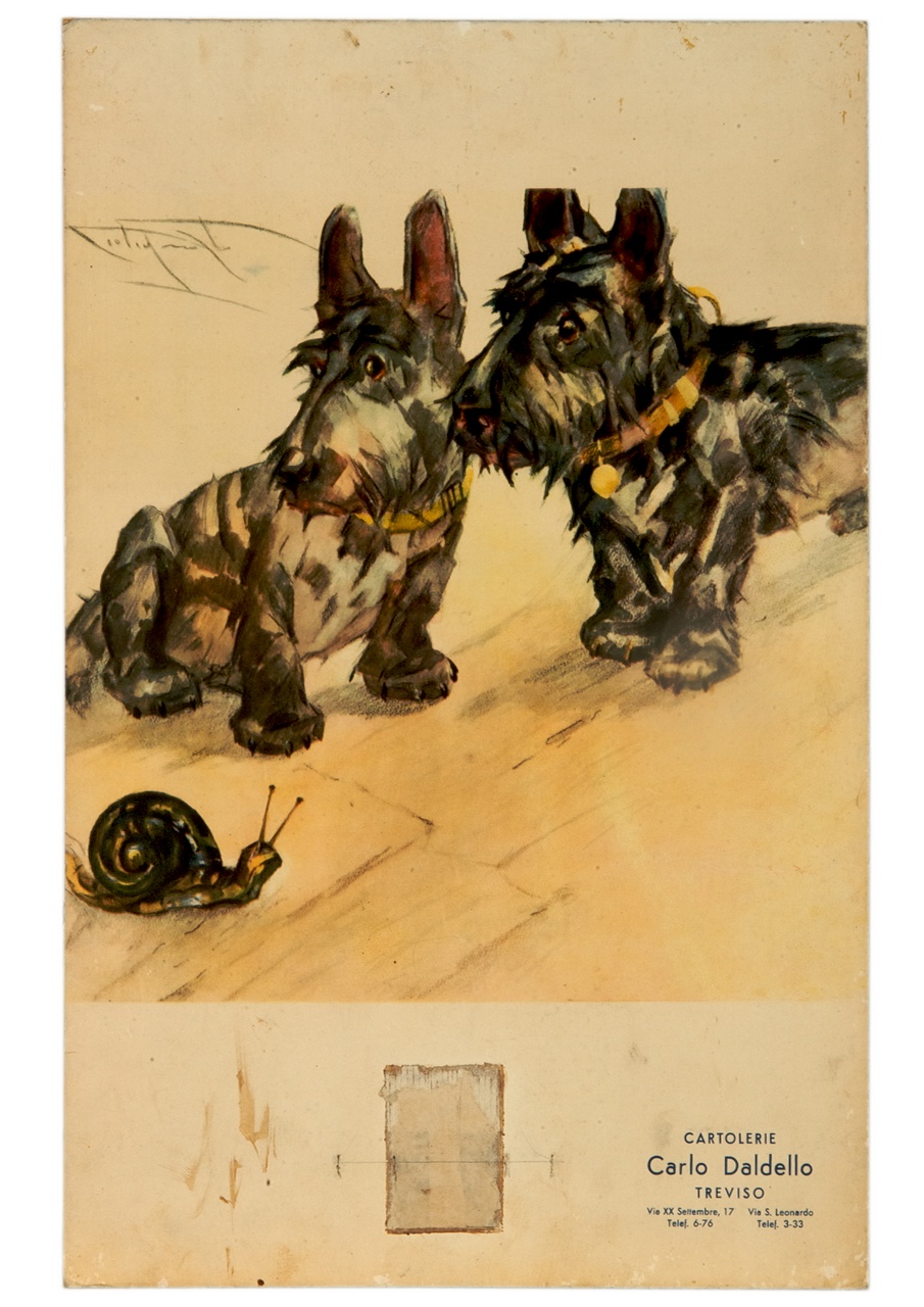 due cani e una lumaca (calendario) di Codognato Plinio (sec. XX)
