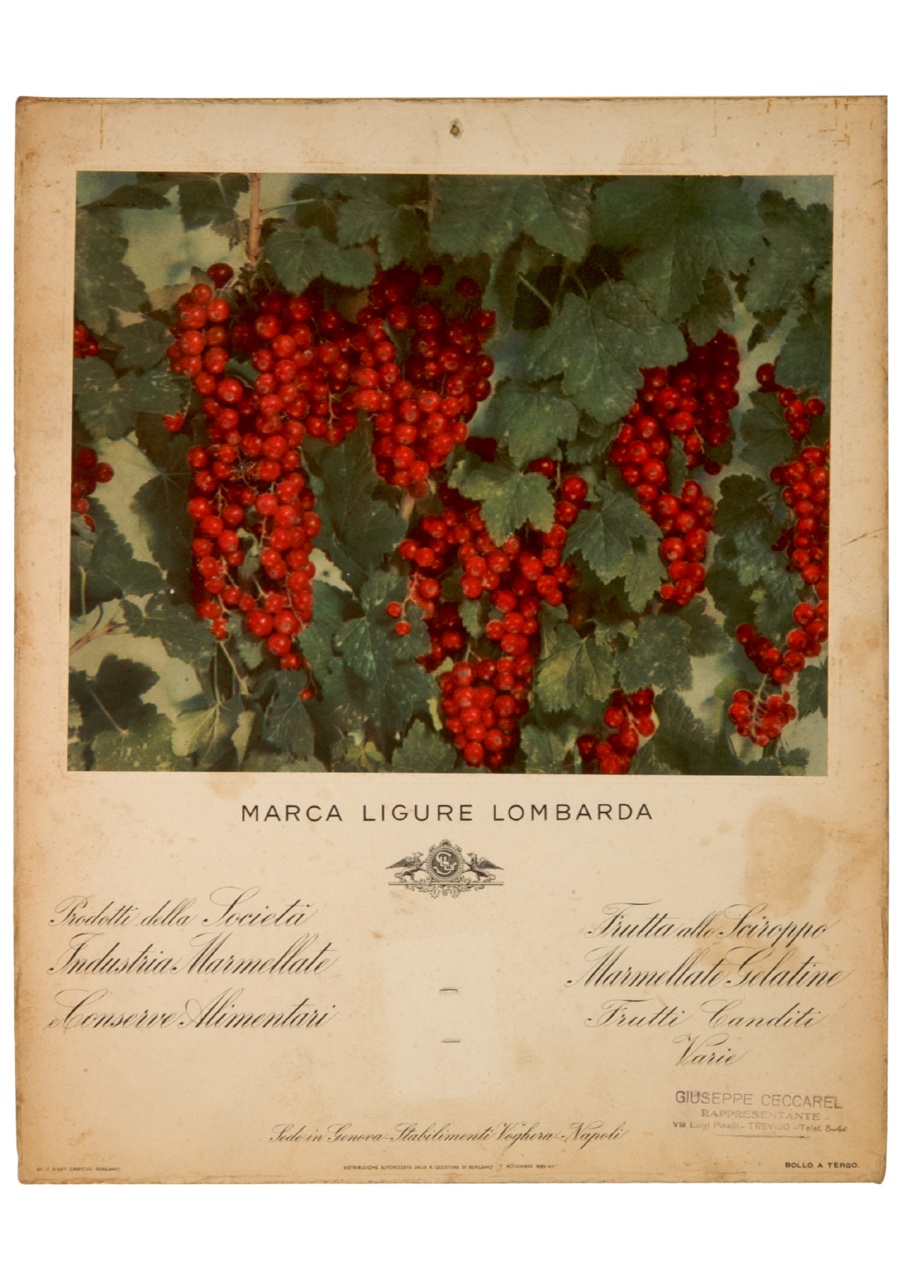 pianta di ribes (calendario) - ambito italiano (sec. XX)