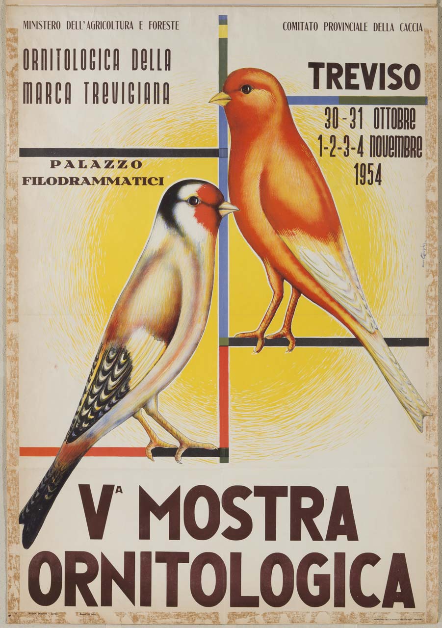 cardellino e canarino posati (manifesto) di Pin Giuseppe detto Giupin (sec. XX)
