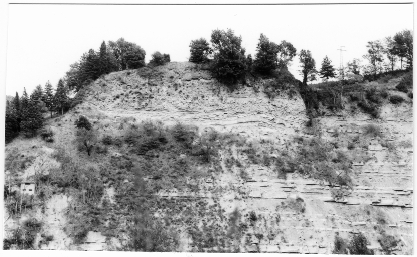 Castello di Baffadi (resti del castello) - Casola Valsenio (RA)  (XI)