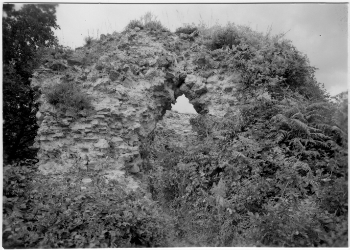 Castello di Rontana (castello) - Brisighella (RA)  (X)