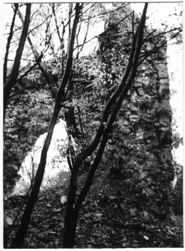 Castello di Fornazzano (castello) - Brisighella (RA)  (XI, fine)