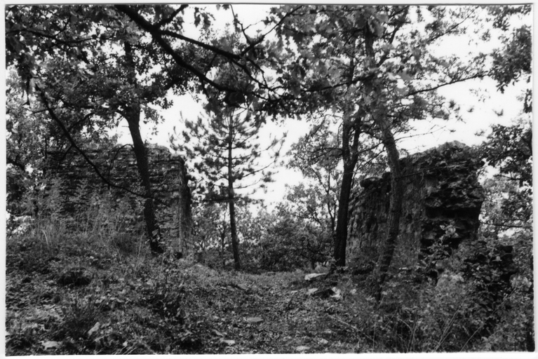 Castello di S. Martino in Gattara (castello) - Brisighella (RA)  (XII, fine; XII, fine)