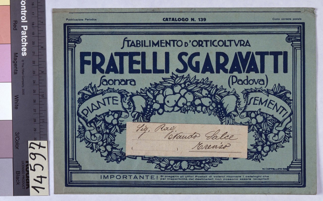 festoni di frutta e fogliame entro cornice architettonica; festone floreale decorato con nastri (busta) - ambito italiano (sec. XX)