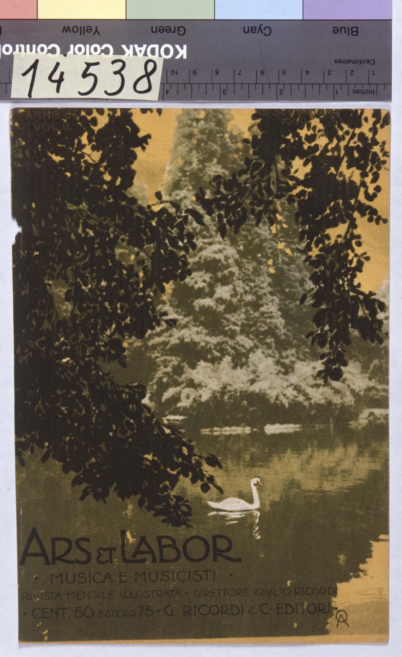 lago tra gli alberi con cigno al centro (copertina) di Ornano Alfredo (sec. XX)