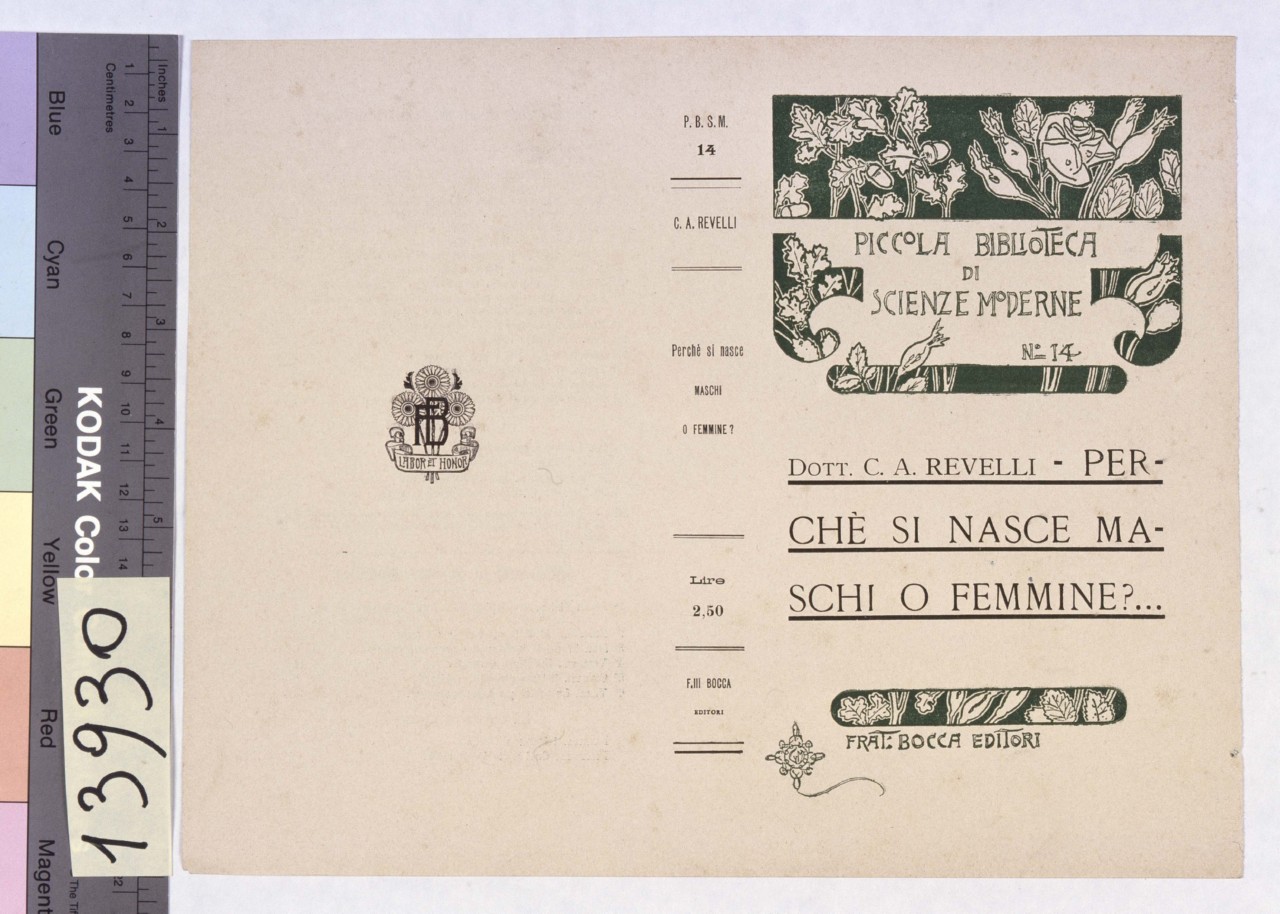 rami di quercia e fiori su fondo nero (copertina) di Mataloni Giovanni Maria (secc. XIX-XX)