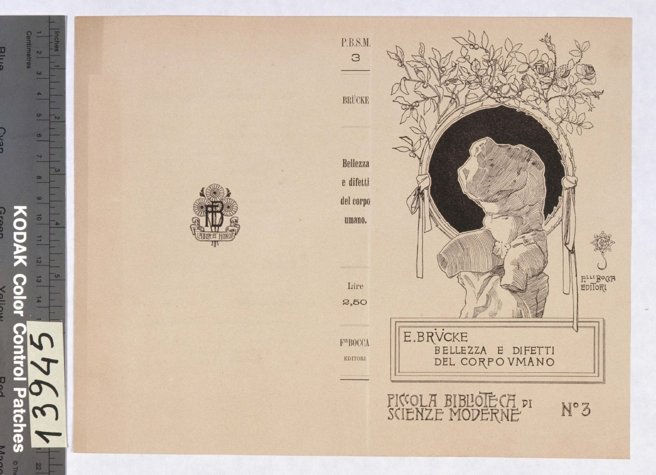 torso del Belvedere con tondo nero decorato con rami fioriti (copertina) di Mataloni Giovanni Maria (fine/ inizio secc. XIX/ XX)