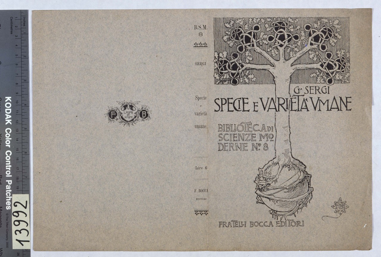 un albero con rami intrecciati in forme decorative si avvinghia con le radici ad un globo (copertina) di Mataloni Giovanni Maria (sec. XX)