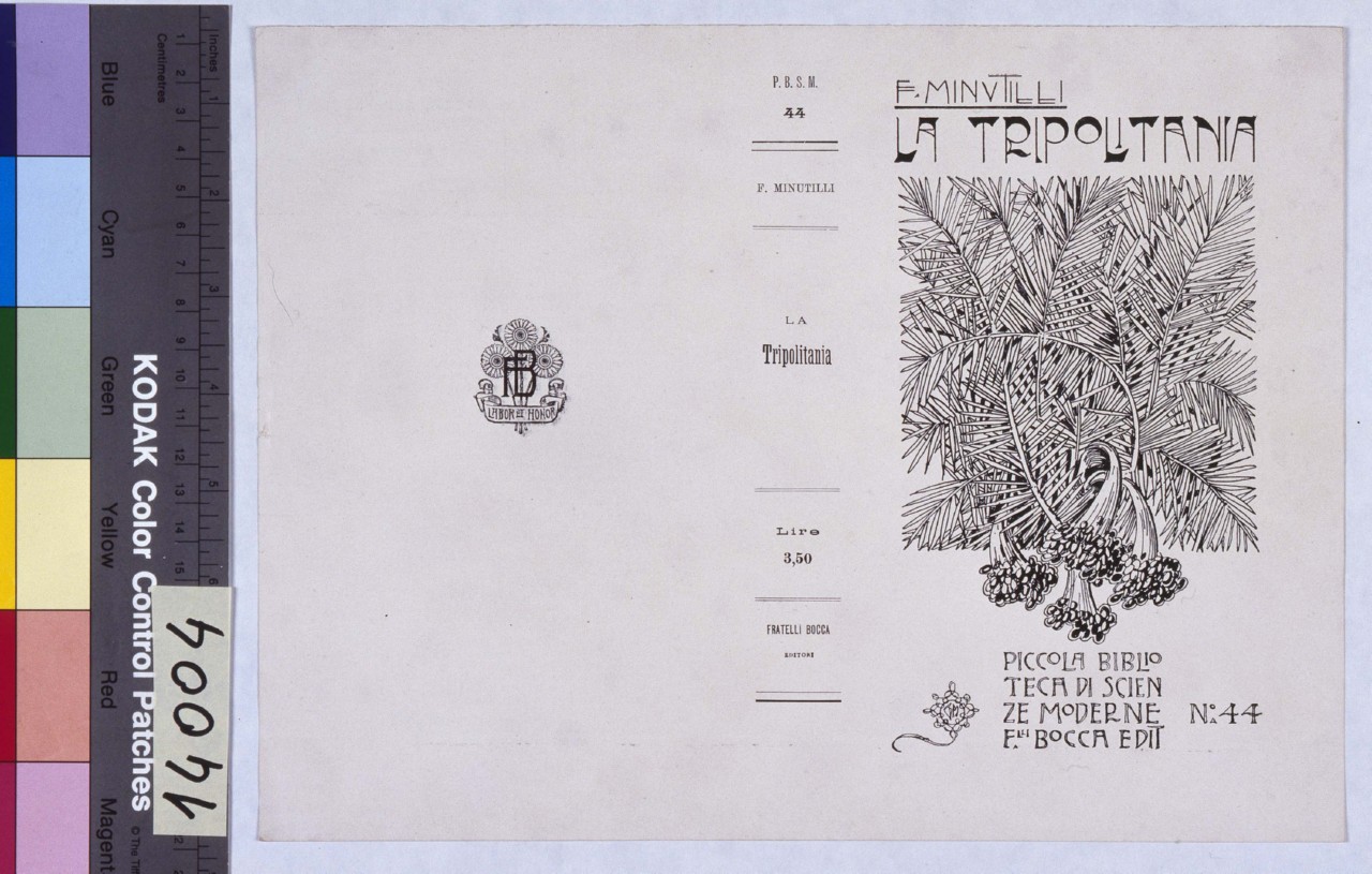 rami di palma da datteri (copertina) di Mataloni Giovanni Maria (sec. XX)