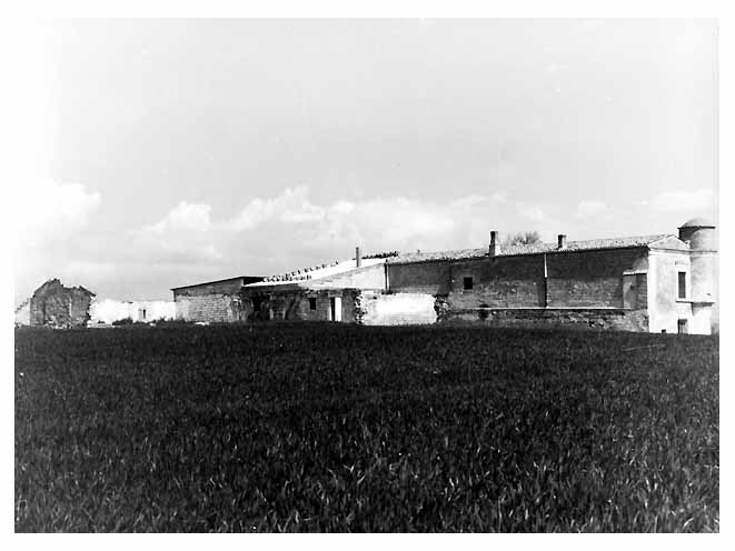 MASSERIA SPAGNOLI (masseria, agricola) - Foggia (FG) 