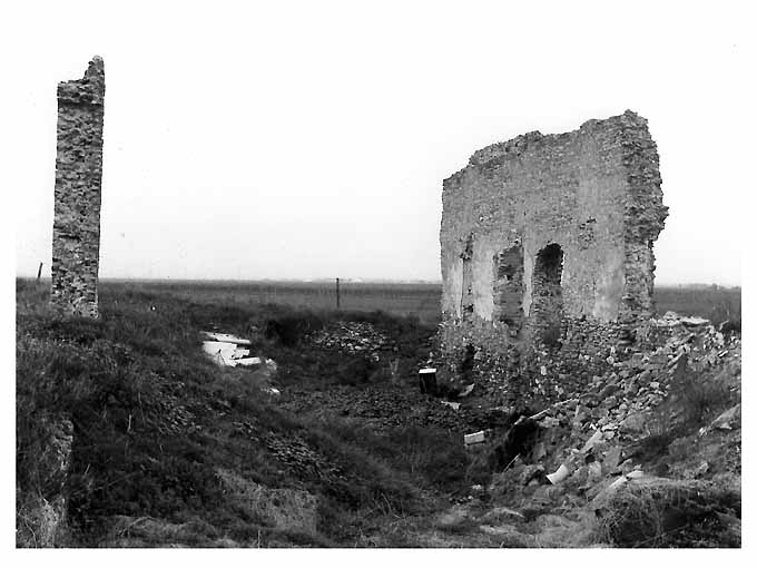 MASSERIA FARINACCHIO (masseria) - Foggia (FG) 