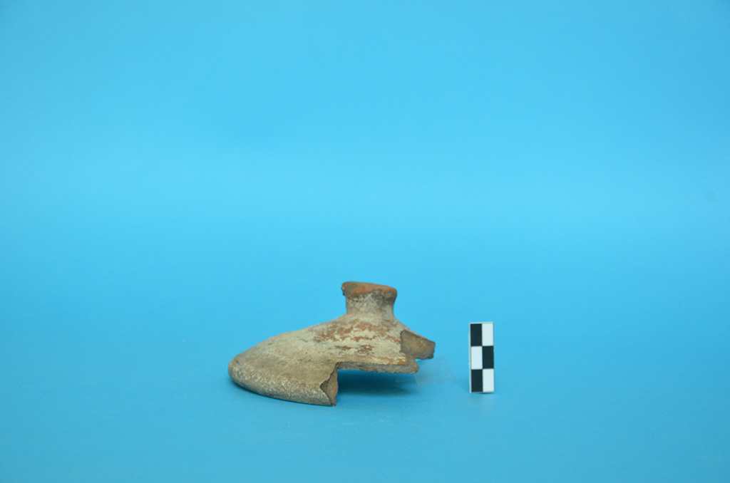 coperchio (non determinabile)