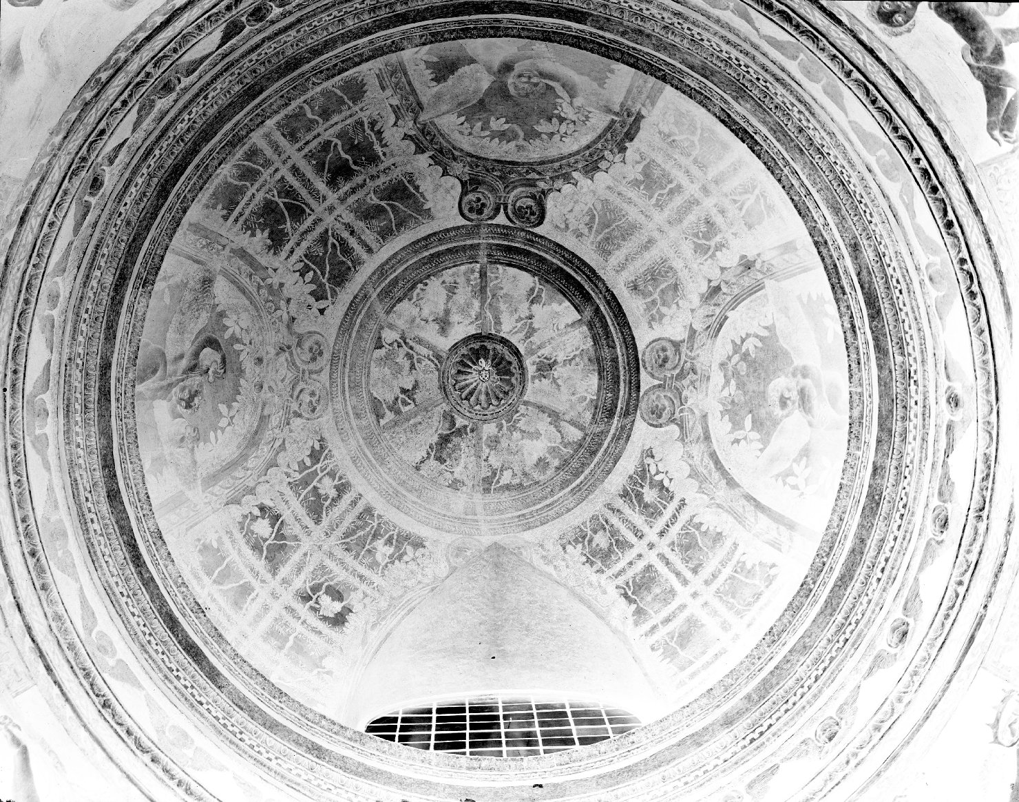 Pittori - Italia - Sec. 16. - Rinaldo Mantovano (negativo) di anonimo (XX)