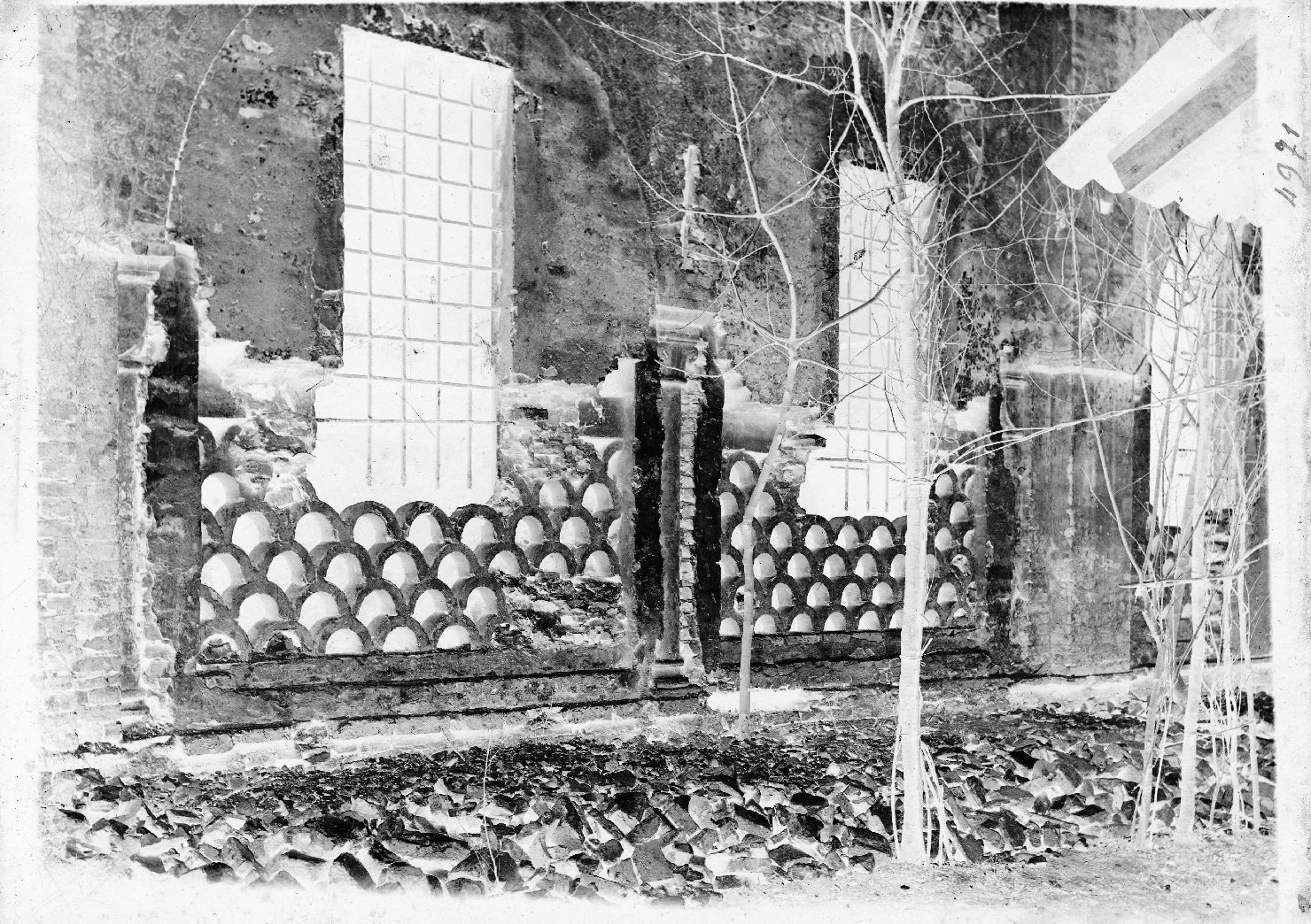 Lombardia - Mantova <provincia> - San Benedetto Po - Abbazia di Polirone (negativo) di anonimo (XX)