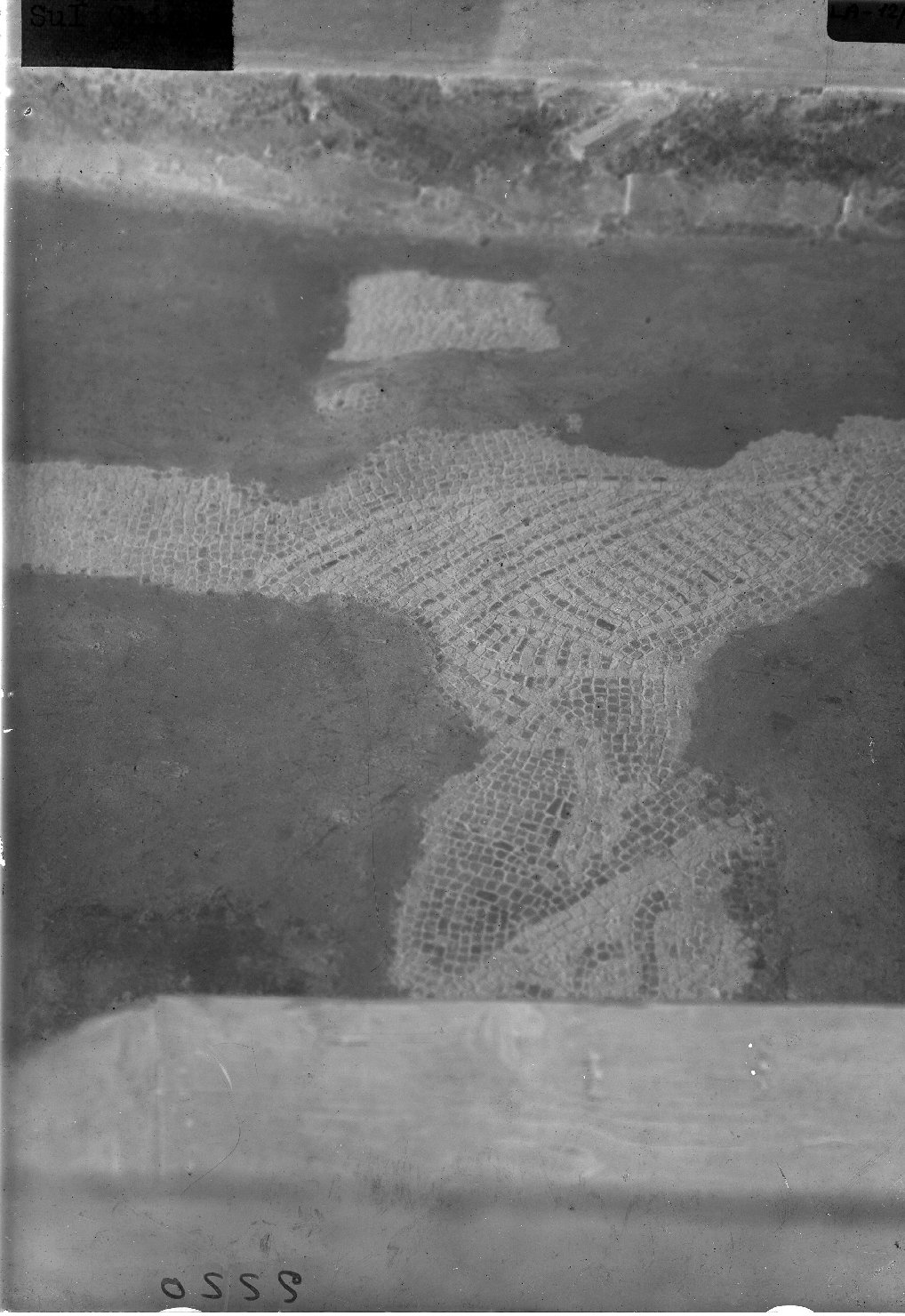 Decorazione musiva - Mosaici (negativo) di Anonimo (XX)