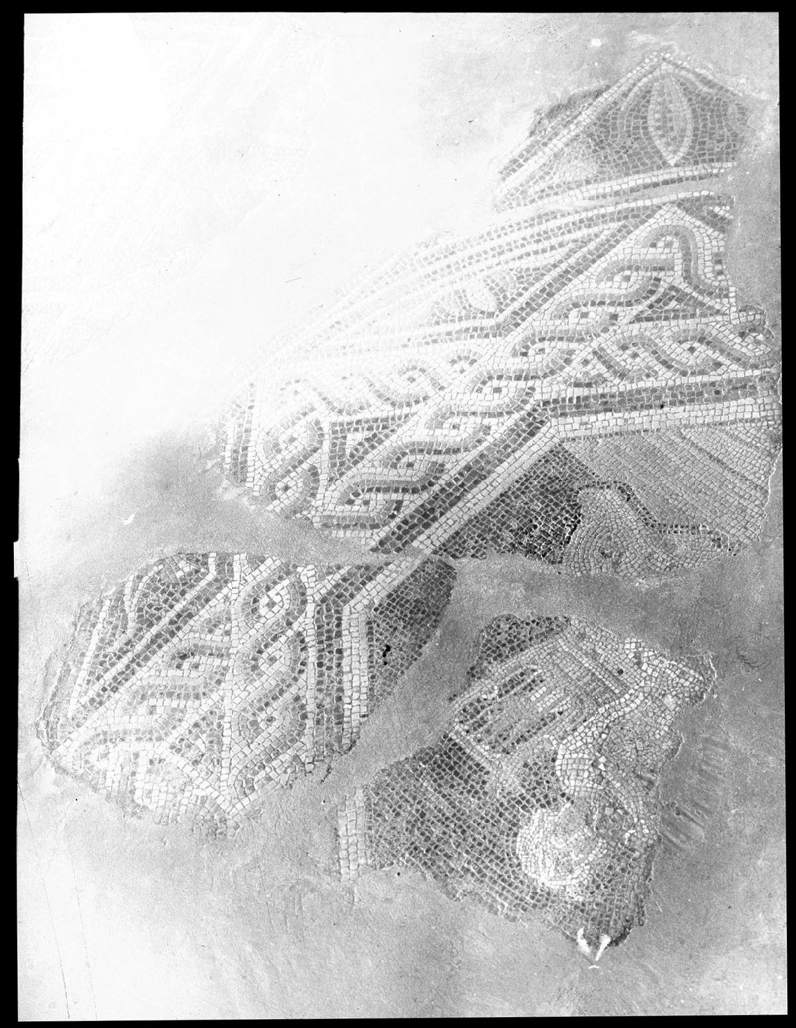 Decorazione musiva - Mosaici (negativo) di Anonimo (XX)