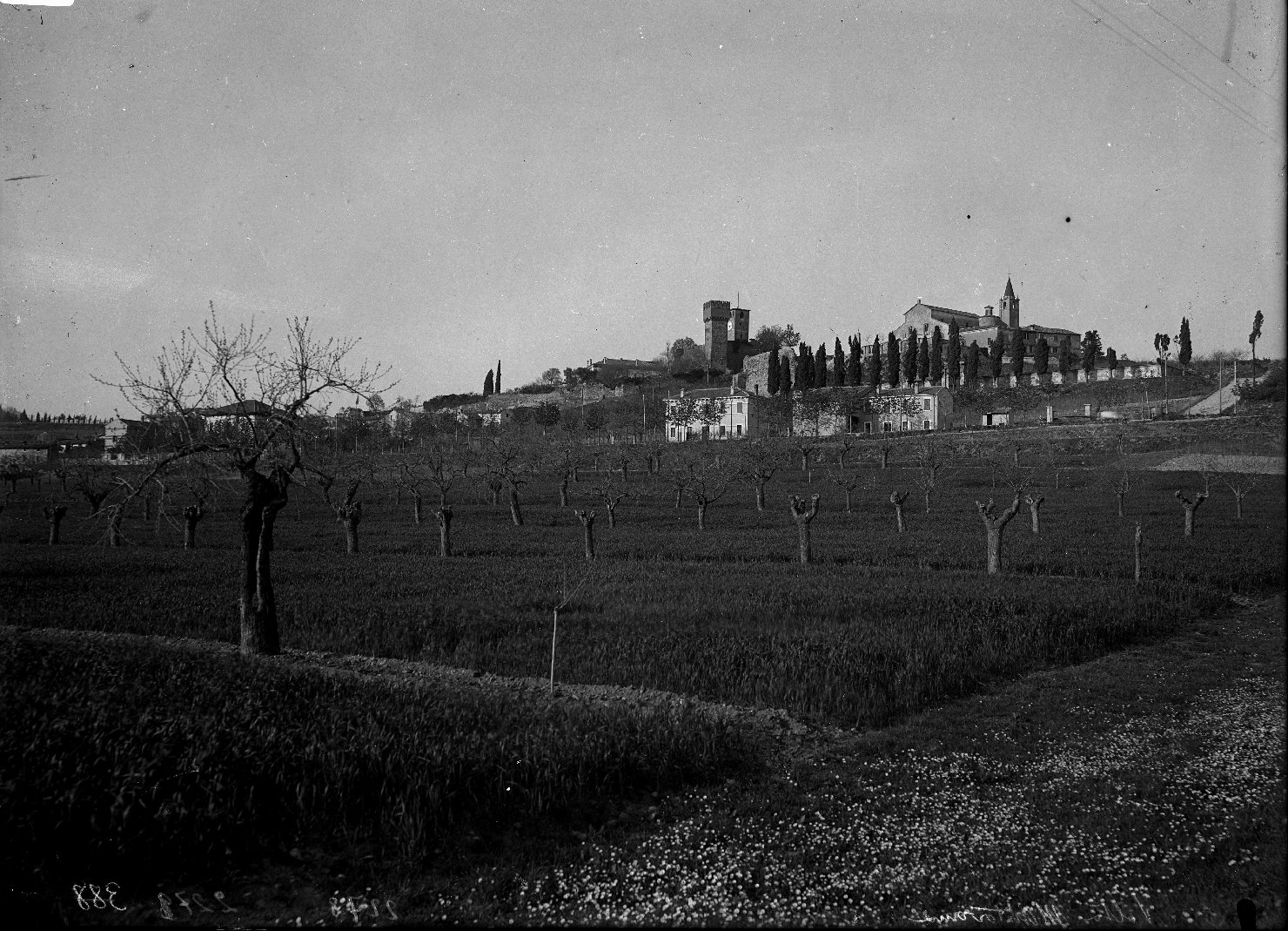 Vedute - Panorami - Volta Mantovana (negativo) di Anonimo (XX)