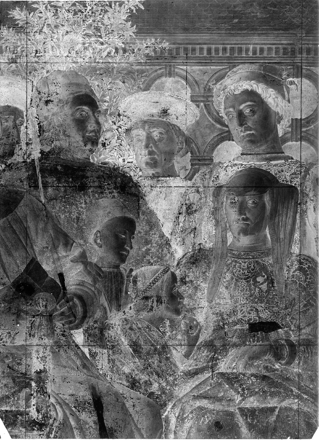 Mantova - Dipinti murali - Restauri (negativo) di Mantegna, Andrea, Anonimo (XX)