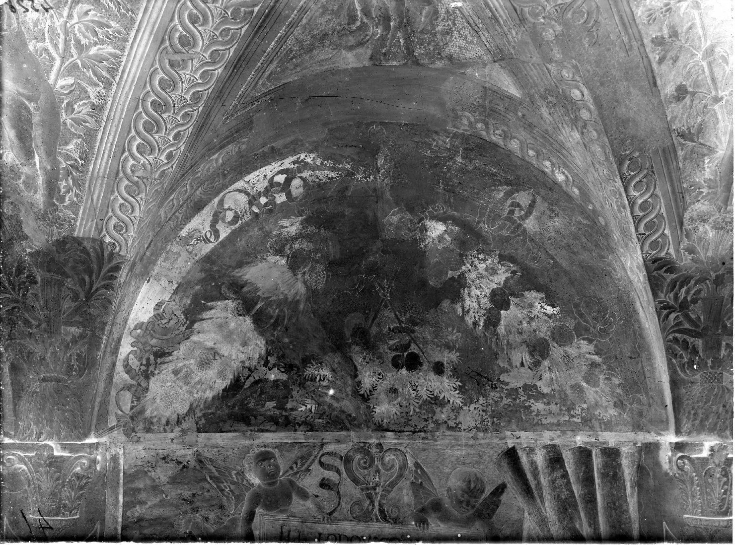 Mantova - Dipinti murali - Restauri (negativo) di Mantegna, Andrea, Anonimo (XX)